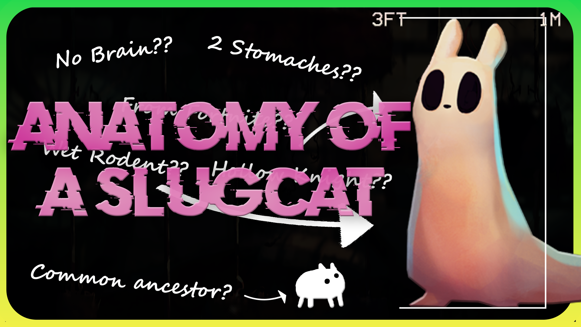 concept video thumbail for the anatomy of a rain world slugcat
